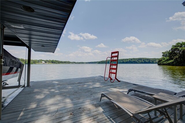 2404 S Angle Ct, Decatur, IL 62521 - photo 42