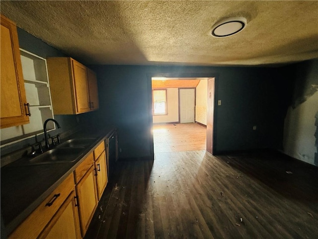 kitchen with sink, black dishwasher, dark hardwood / wood-style floors, and a textured ceiling