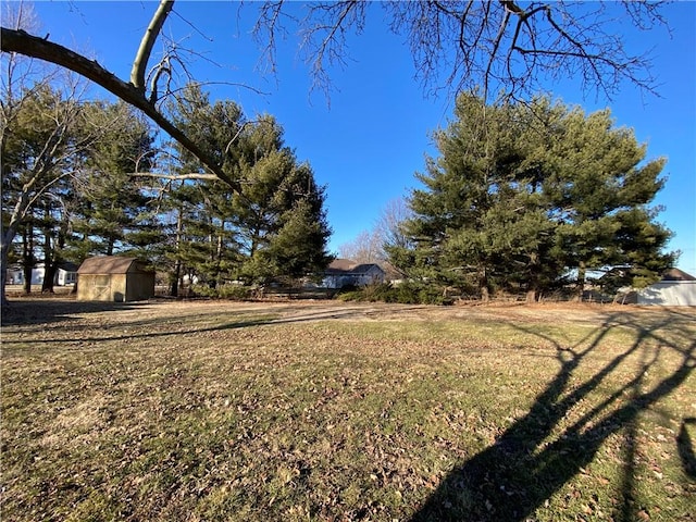 view of yard with an outbuilding and a storage shed