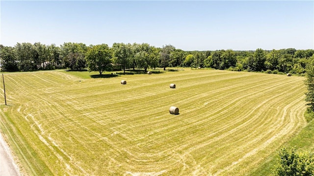1283 N 1400 E Rd, Shelbyville, IL 62565 - bird's eye view of a tree filled landscape