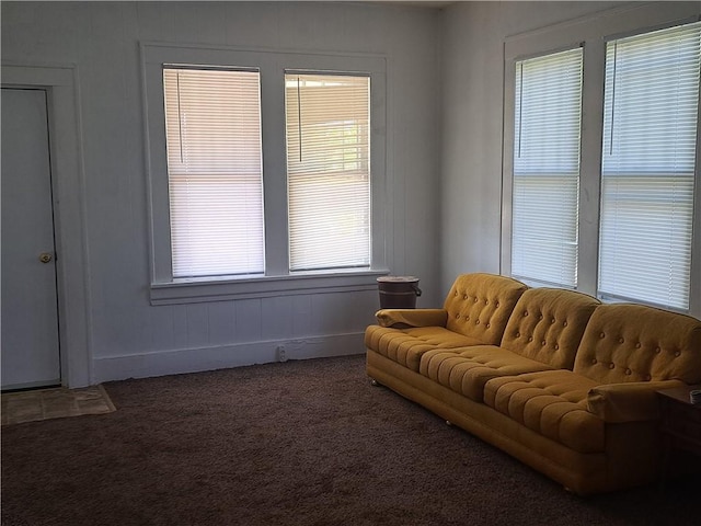508 S Webster St, Robinson, IL 62454 - living area with carpet floors and baseboards