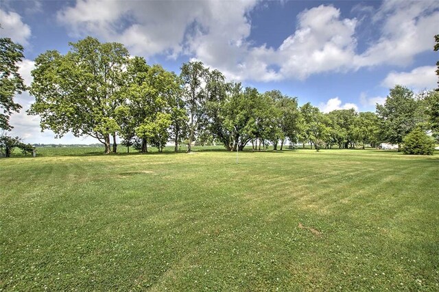 205 Francis Rd, Decatur, IL 62522 - photo 29