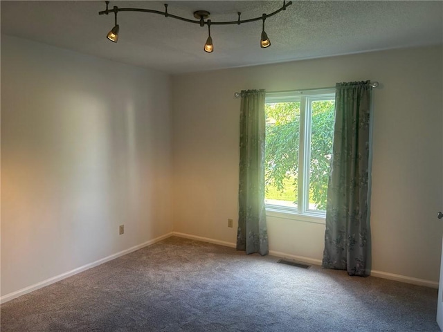 202 S 4th St, Marshall, IL 62441 - carpeted empty room with plenty of natural light and track lighting