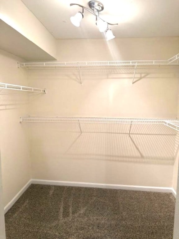 721 Broadmeadow Rd Unit 101, Rantoul, IL 61866 - photo 7