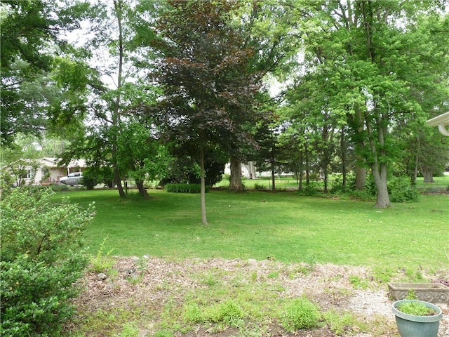 1402 Dean St, Danville, IL 61832 - view of green lawn
