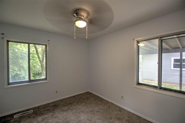 98 Phillips Dr, Decatur, IL 62521 - photo 10