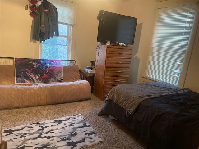 bedroom with carpet flooring