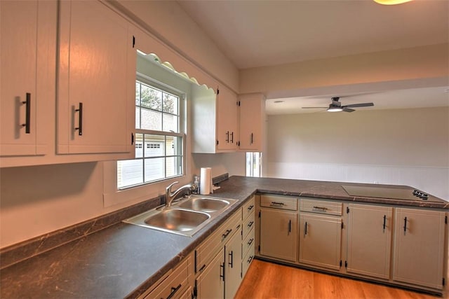 kitchen with ceiling fan, sink, black electric stovetop, and light wood-type flooring