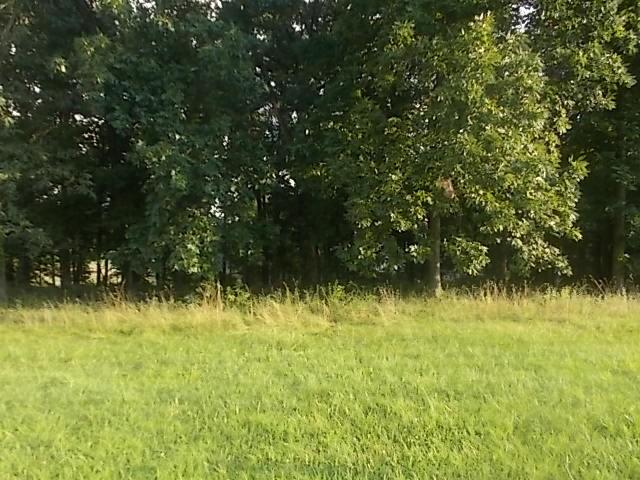 179 N Shore Dr, Pana, IL 62557 - photo 1