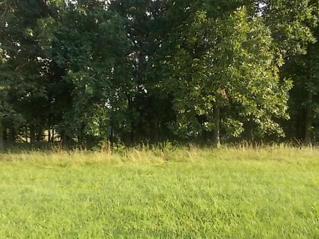 179 N Shore Dr, Pana, IL 62557 - photo 1