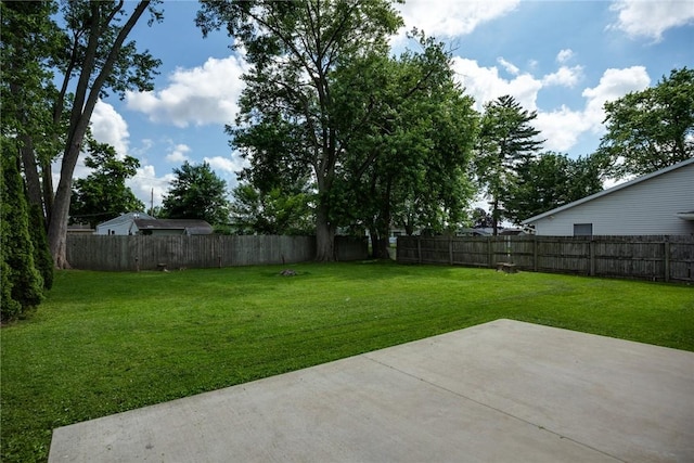 911 Saint Anthony Ave, Effingham, IL 62401 - fenced backyard featuring a patio area