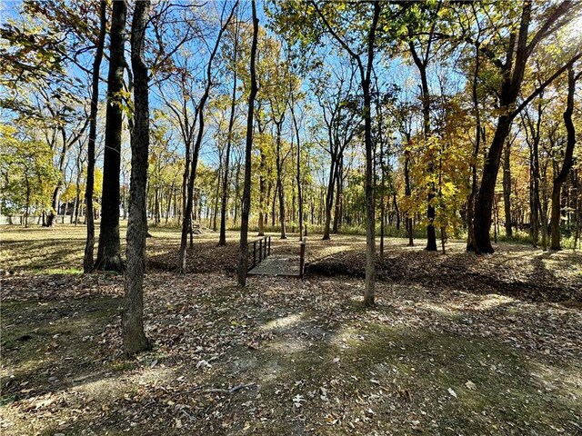 view of local wilderness