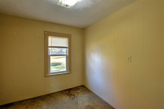 carpeted empty room with wooden walls