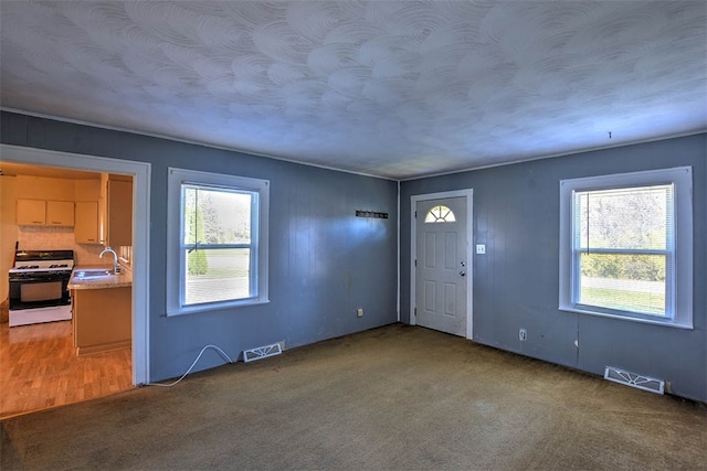 carpeted entrance foyer featuring plenty of natural light and sink