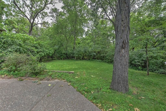 580 Powers Ln, Decatur, IL 62522 - view of grassy yard featuring a forest view