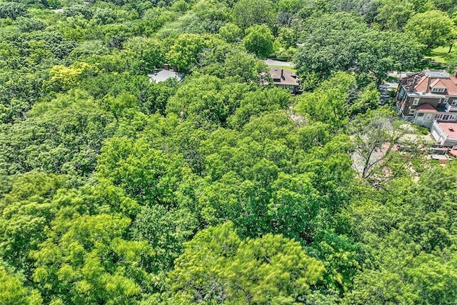 580 Powers Ln, Decatur, IL 62522 - aerial view of a forest