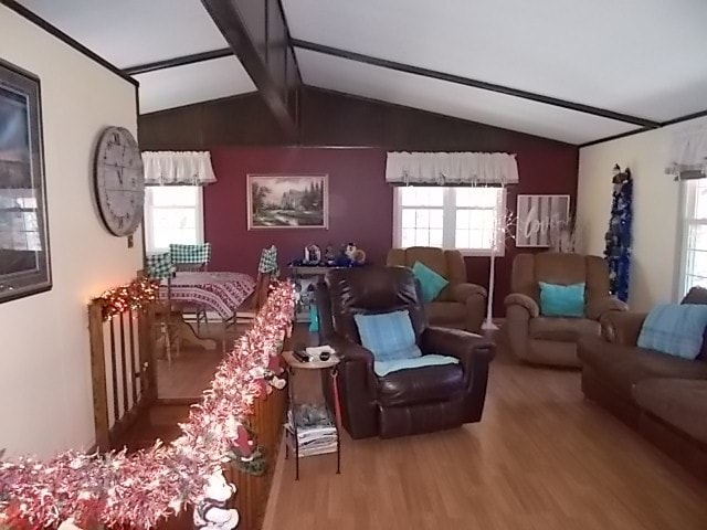 living room with hardwood / wood-style floors, a healthy amount of sunlight, and lofted ceiling