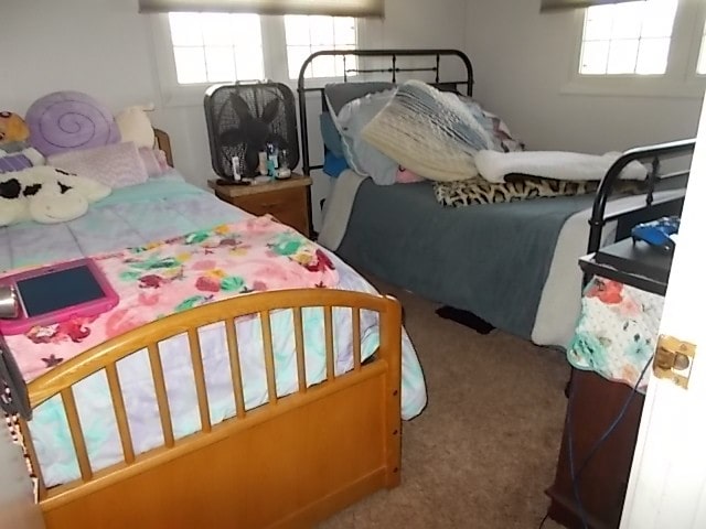 carpeted bedroom with multiple windows