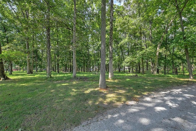 216 Beyers Lk, Pana, IL 62557