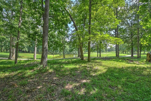 216 Beyers Lk, Pana, IL 62557