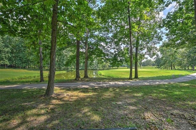 216 Beyers Lk, Pana, IL 62557