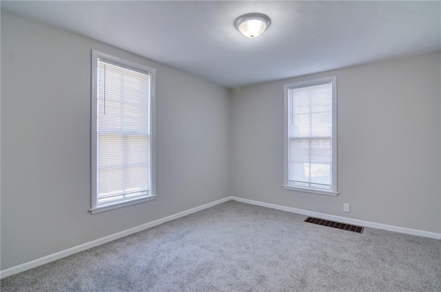 spare room with a wealth of natural light and carpet flooring