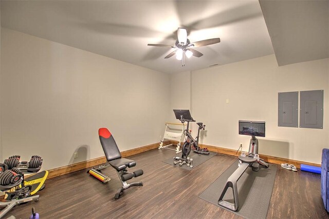 2125 Reserve Way, Decatur, IL 62521 - workout area featuring a ceiling fan, wood finished floors, electric panel, and baseboards