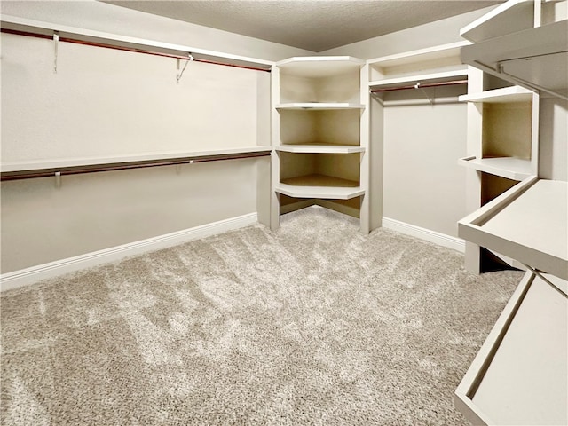 walk in closet with carpet flooring