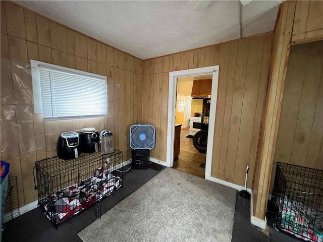 misc room with wooden walls, a textured ceiling, and carpet flooring