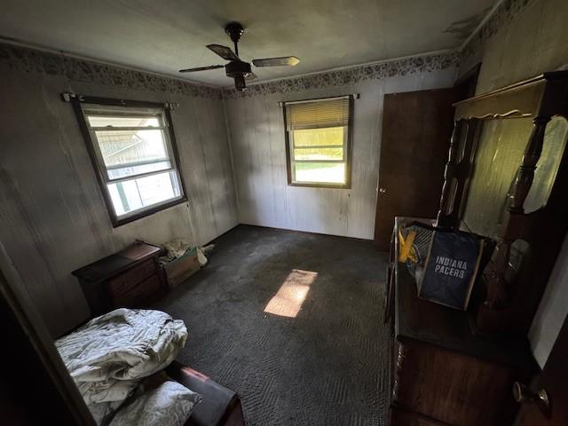 414 S Worth St, Sullivan, IL 61951 - unfurnished bedroom featuring multiple windows, dark colored carpet, and a ceiling fan