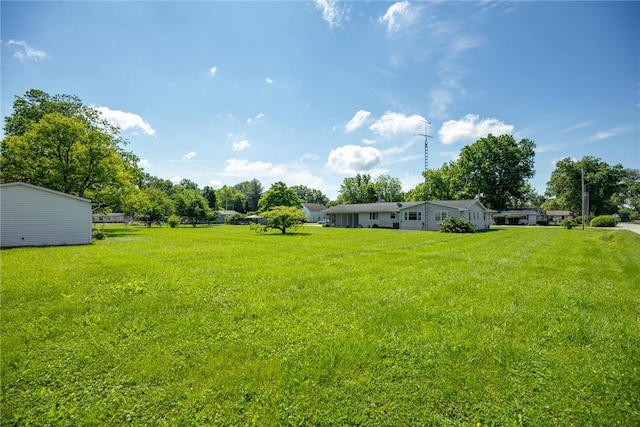 300 Olive St, Watson, IL 62473 - view of green lawn