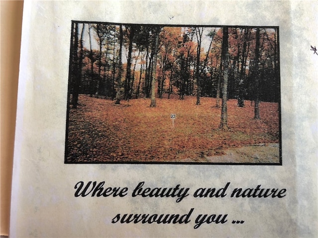 LOT3 Riverwood Ests, Danville, IL 61834