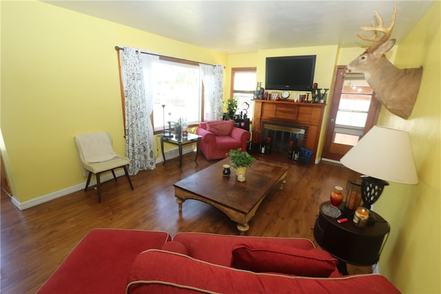 living room with dark hardwood / wood-style floors