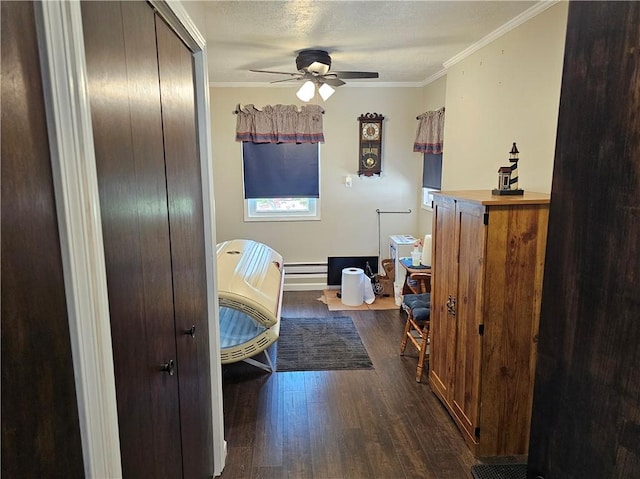 308 S Missouri St, Toledo, IL 62468 - corridor featuring dark wood-style floors, a desk, ornamental molding, and a baseboard radiator