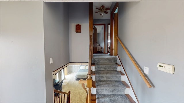 staircase featuring ceiling fan and carpet flooring