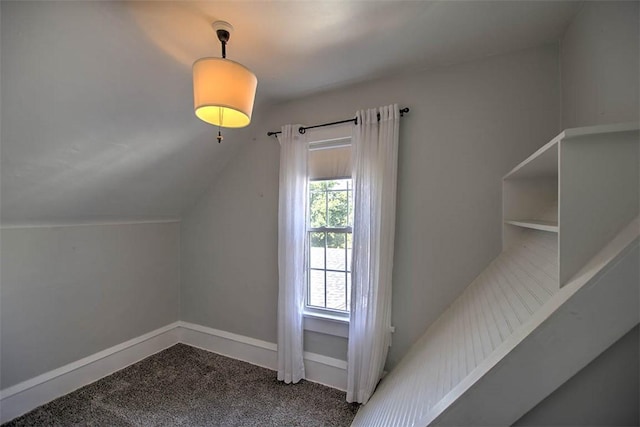 1470 W Decatur St, Decatur, IL 62522 - bonus room with carpet floors and vaulted ceiling