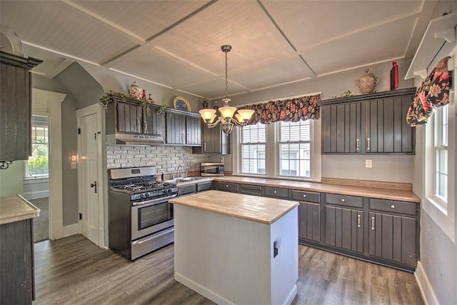 1470 W Decatur St, Decatur, IL 62522 - kitchen with stainless steel appliances, under cabinet range hood, wood finished floors, and healthy amount of natural light