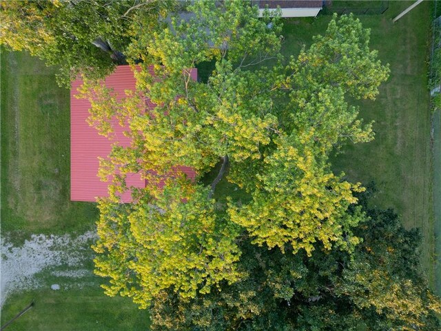 306 Pine St, Georgetown, IL 61846 - photo 11