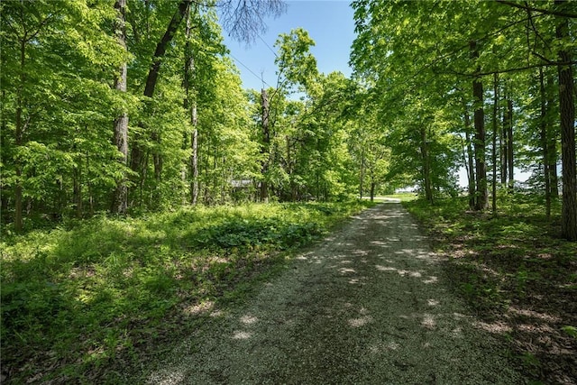 view of road with a wooded view
