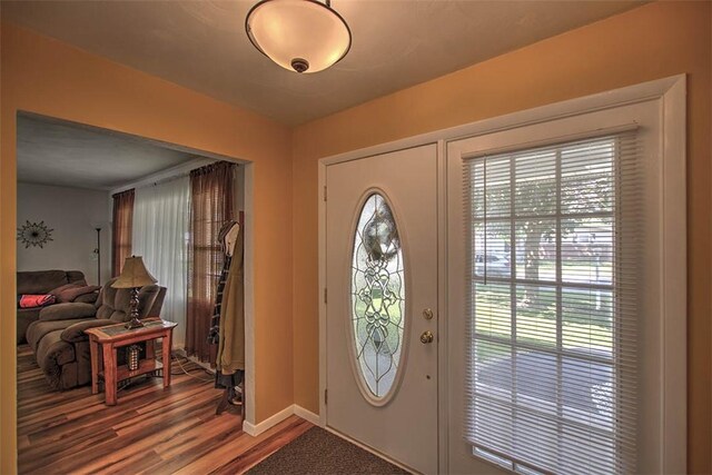 940 Kirk Dr, Mt Zion, IL 62549 - foyer entrance with plenty of natural light and wood finished floors