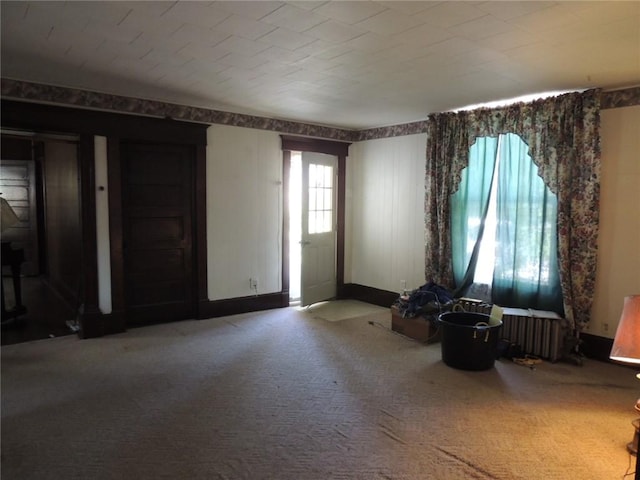 401 3rd St, Altamont, IL 62411 - entryway with carpet and radiator