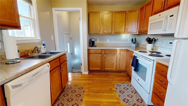 kitchen with light wood-style flooring, a sink, white appliances, brown cabinetry, and light countertops