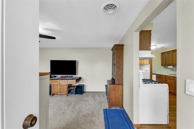 living room featuring a textured ceiling, a ceiling fan, visible vents, and light colored carpet