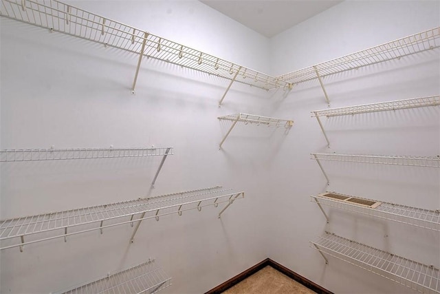 view of spacious closet