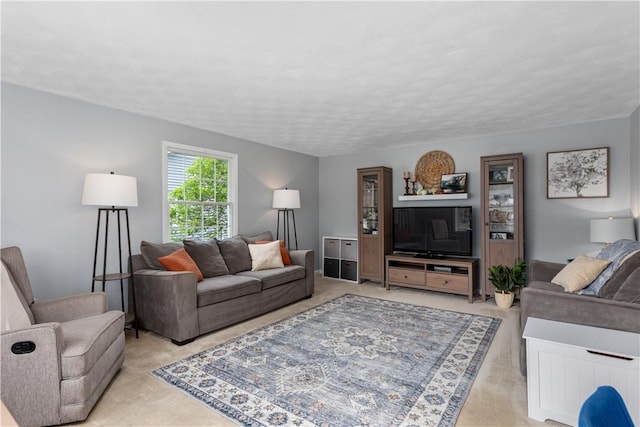 1022 Penguin St, Effingham, IL 62401 - view of living area