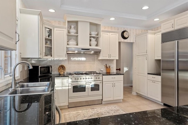 kitchen featuring white cabinetry, premium appliances, backsplash, ornamental molding, and sink