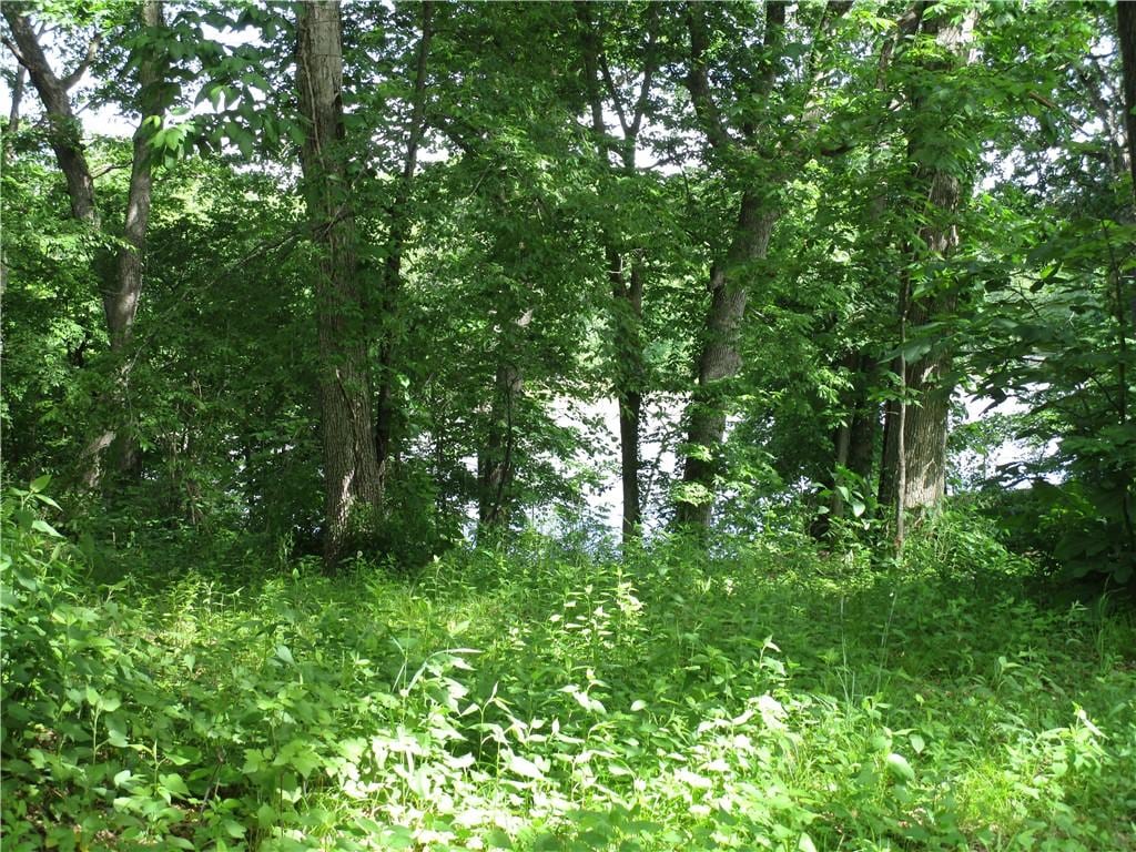 47 Lakeshore Dr, Pana, IL 62557 - photo 1