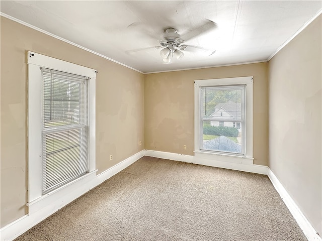 unfurnished room featuring carpet flooring, ceiling fan, and crown molding
