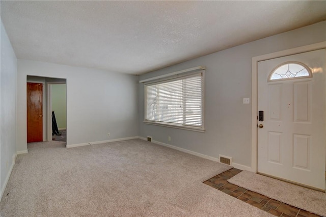 entrance foyer with a wealth of natural light, carpet floors, and a textured ceiling