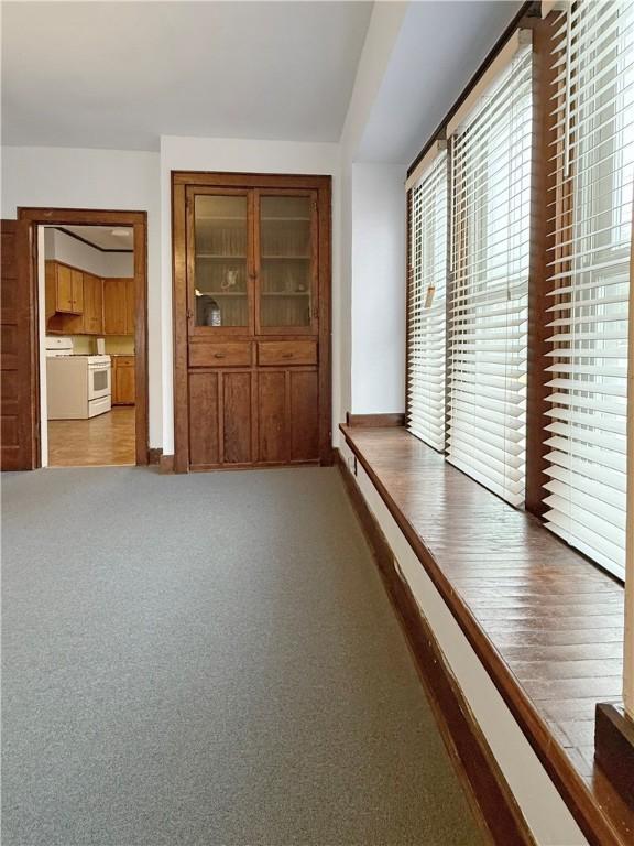 111 Andrew St, Paris, IL 61944 - corridor with carpet and baseboards